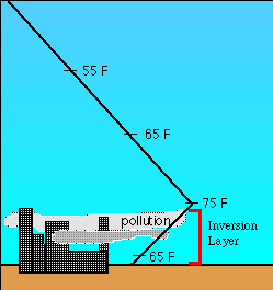 Pollution in Cities