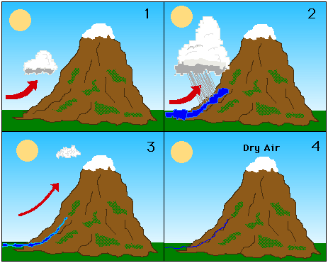 Equivalent potential temperature of a parcel of air