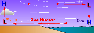 A Sea Breeze