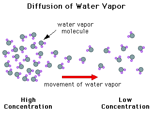 Diffusion of water vapor